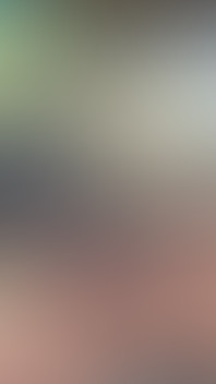 12 May 2026