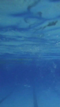 Indoor Public Pool Solo Uncut Nude Fit Man Swimming