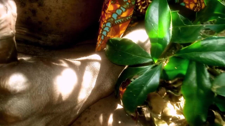 Judith xxx: Natura di un giorno libero