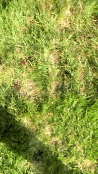 Bosé Nohy V Pantoflích