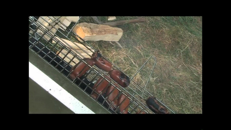 Forte porno TV xxx - (Just the best full movies): Cocks in Ass Camping (full Film HD verze)