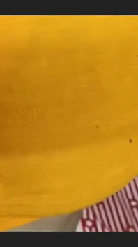 Priya si gadis india pertama kali bulan madu bulan madu sama kakak ipar india