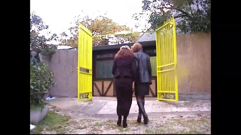 The Swingers & CO.: Lesvic Harabeleri (film)