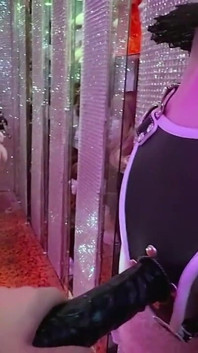 Giấc mơ sissy của bạn