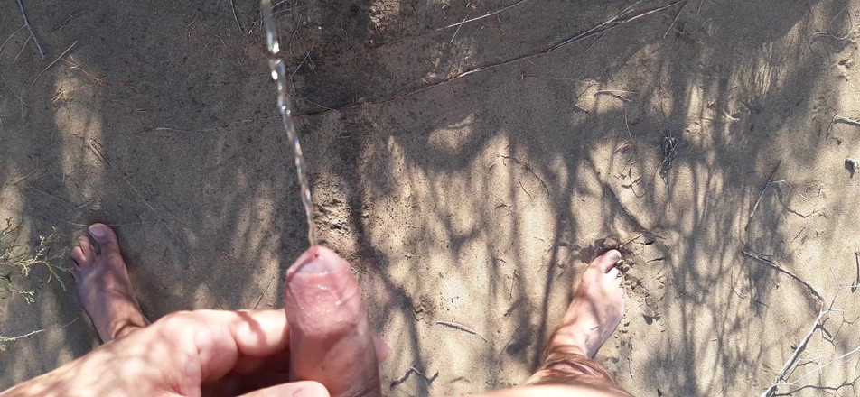 Orinadas_jmv54: Wydmy Maspalomas