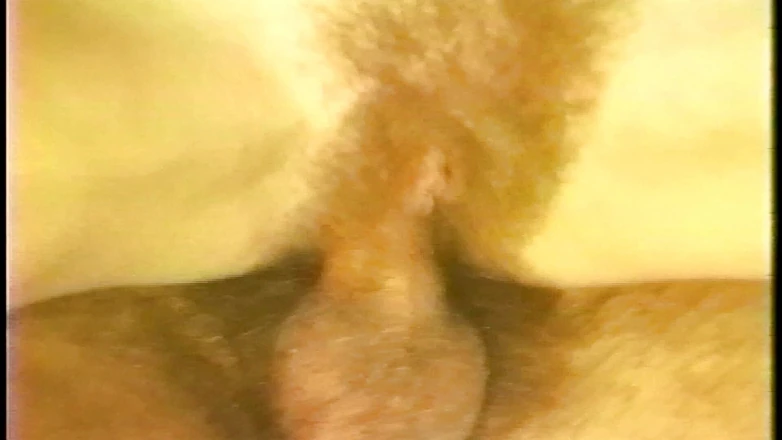 Arman gozallar seks porno video