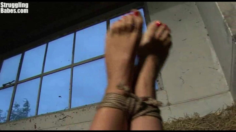 Submissed: Natalie Hogtied Cleavegagged Haystack