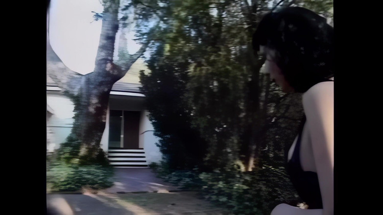 Shemale Vintage MegaStore: La trans dominante scopa la sua cagna sottomessa senza pietà