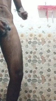Tamil10inches bbc mega show 2