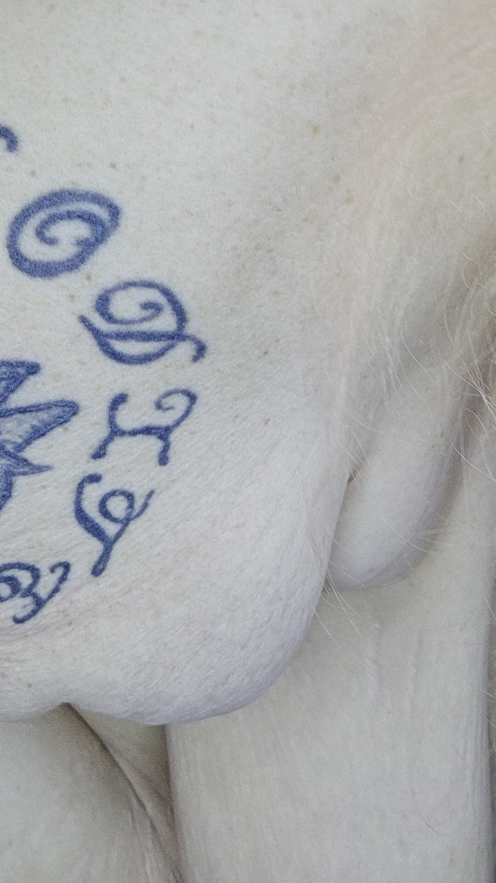 HerculesnVENUS: Pepek menggesel dan memancut mani