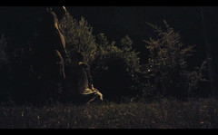 Toilet Mommy: Kehidupan malam di taman awam