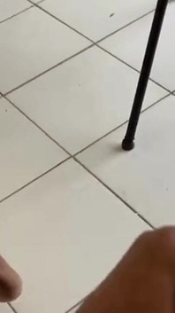 사진 작가는 다음 모델을 기다리고 있었고, 스튜디오 한가운데서 하나를 치기로 결정했습니다.