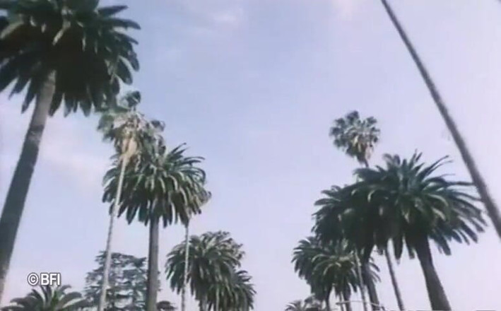 Vintage Vixens: Beverly hills sex tape vintage - sottotitoli olandesi