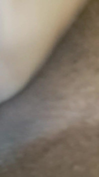 湿润的阴户