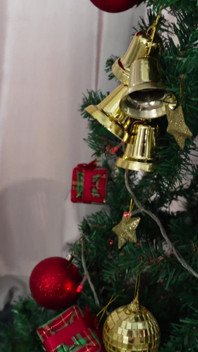 Hardcore-sex mit grinch in der weihnachtsnacht!