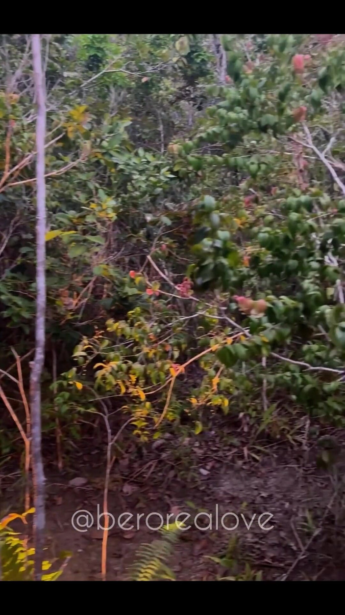 berorealove: Banho natural, banho, banho de prazer e amor