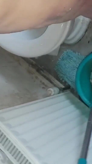 Thumbnail of Jimbob and Pregnant Sassy Pissing on Each Other Montage