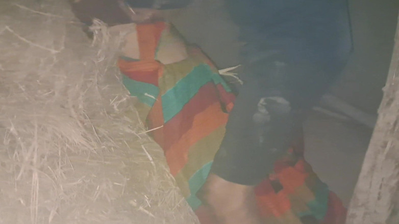 Trilokinath: Swathi Aunty Romance with Yog Boy - Romantic Telugu