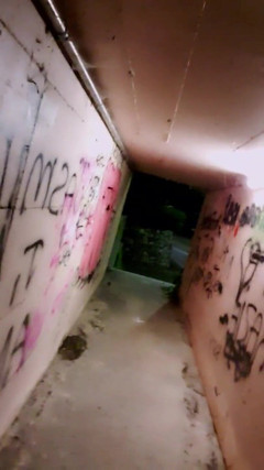 Slutboyben: Slutboyben Cam4 Sexy Cruising Chick Ii