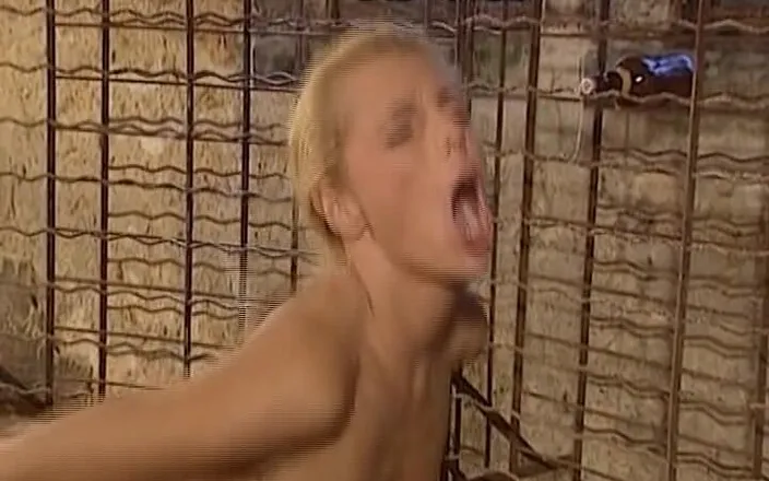 Deutsche Frauen: Classy German Babe Got Her Tight Anal Whole Fucked