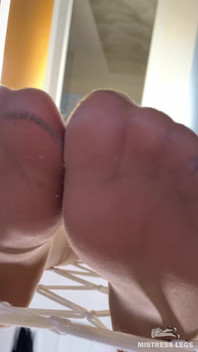 Zeiță îmbrăcată în nailon în Hamac Sclavul linge prin ciorapi și chiloți