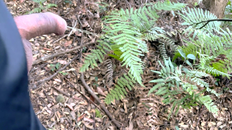 hueikun: चमड़ी वाला लड़का लकड़ी और पेशाब में चमकता है