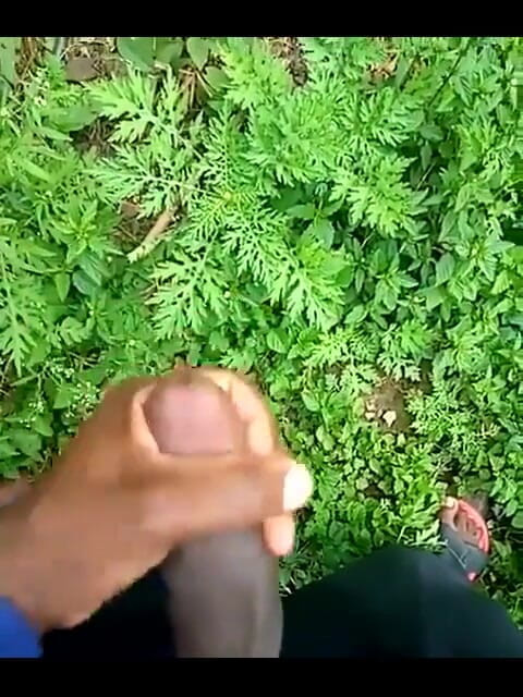 Haydenbbc: Haydenbbc