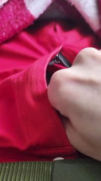 A Normal Male Penis