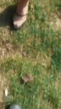 The young brunette girl loves to be transgressive by having sex in the park with a friend
