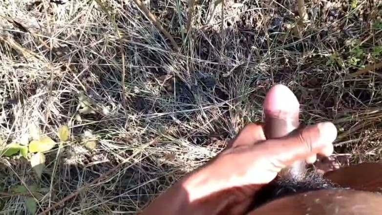 Desi Tits: Desi Indian Sex Jungle Fucking Xxx Video