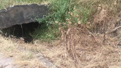 Manlyfoot: Nádherný pohled na Werribee Gorge - Echidna jí mravence, zatímco vaše...