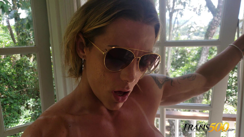 Trans 500: Forever Ms.ferraz