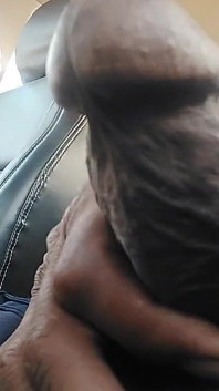 Indian Cock