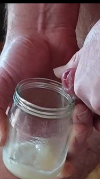 New Super Cumshot From Cicci77 and Pedro! as Always After a Long Masturbation the Sperm Is of Excellent Quality!