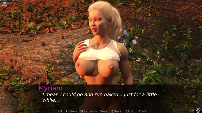 Porngame201: Myriam 项目更新 49 继续
