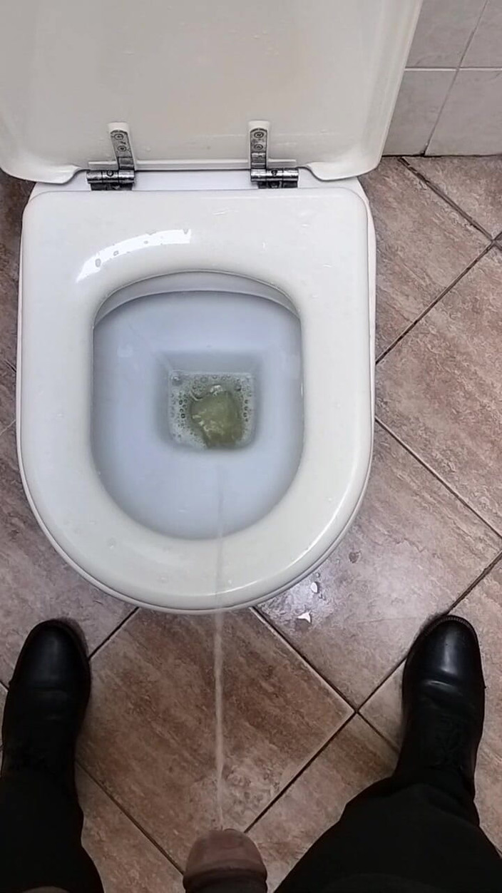 Blackcock83: Писсинг в туалете