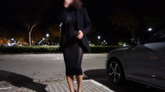 I Put on My Transparent Dress and Let the Piss Run