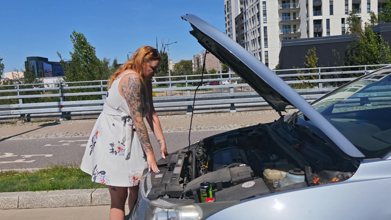 Bastet: My Car Broke Down. a Stranger Fixed It in Exchange...