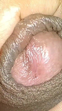 Masturbation à couvert après la veille de Noël