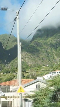 Sunny Madeira dengan Sapphira