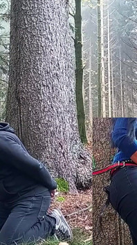 En el bosque el perdedor recibe la polla