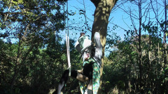 megu2002: Hướng dẫn từ huấn luyện viên No23 Hình phạt khi để...