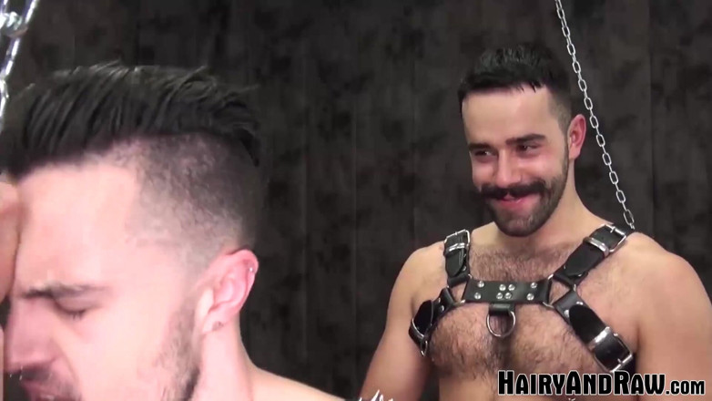 Hairy And Raw: Hairyandraw - 毛茸茸的泰迪托雷斯无鞍男同泰迪标记