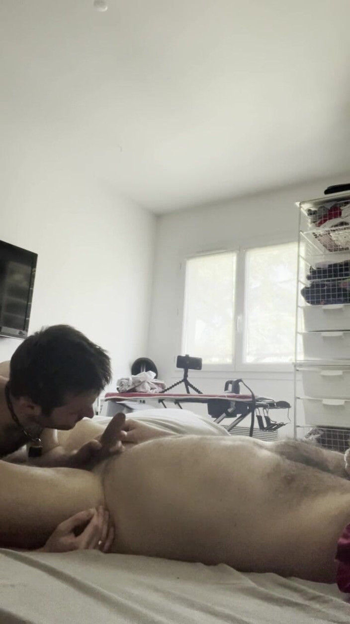 Mart_the_cat: Neighbor's Toy