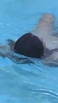 Quente Jovem Transsexual Recebe Um Mergulho Nu Na Piscina