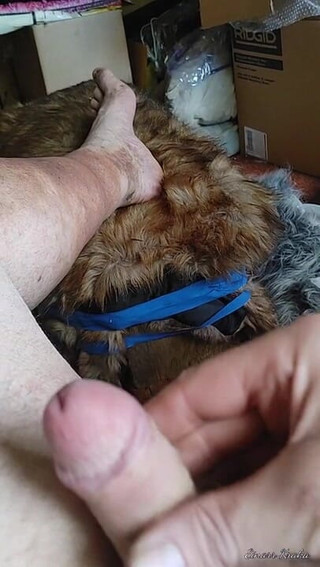 BigManShaman: Rimorchiare il cazzo