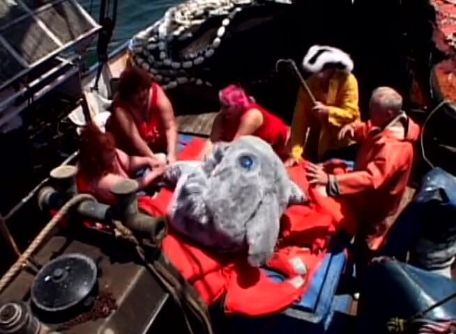 Big Beautiful Babes: Fat beach patrol vol4 - Sharkman fucks BBW whale pussy at...