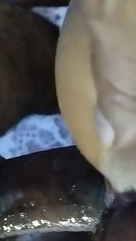 Sexy señora follando con su padrastro en posición de perrito duro inyectando pequeño coño lamido