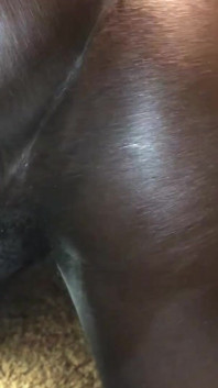Black Booty Wants BBC