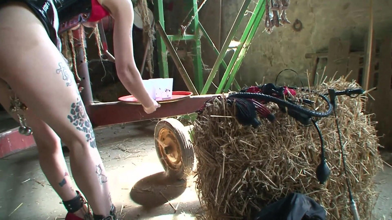Absolute BDSM: 捆绑SM女郎被绑住，被鞭打并玩弄屁股